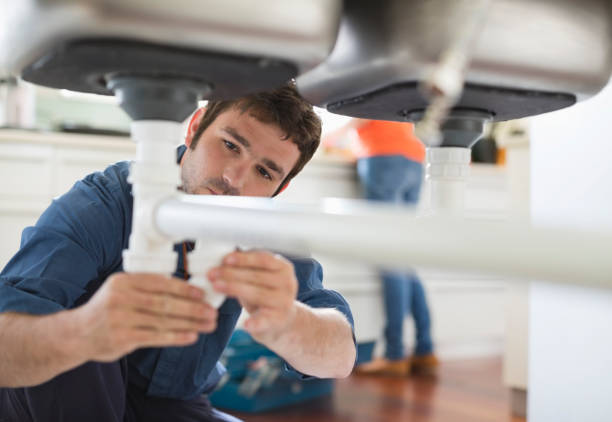 Best Plumbing Inspection Services  in Escanaba, MI